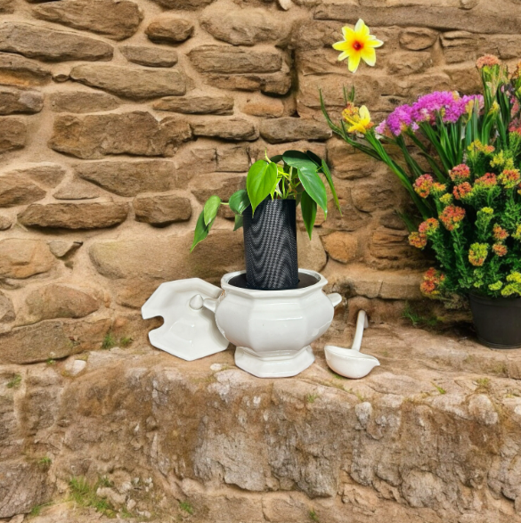 Vintage California Pottery Ironestone Soup Tureen Planter with Heart Leaf Philodendron Plant