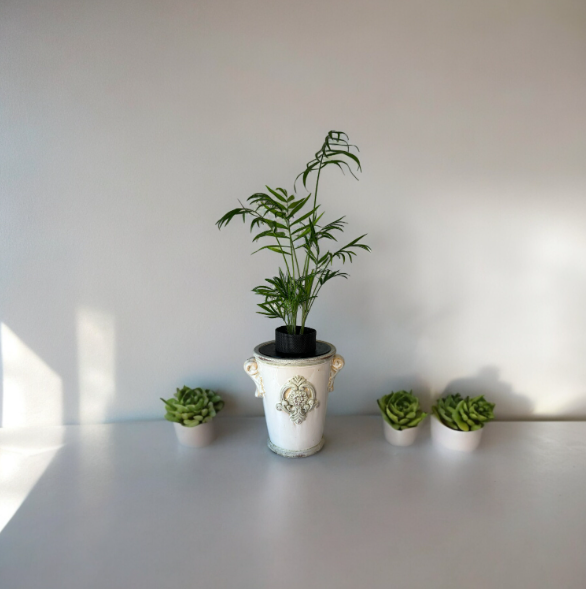 Upcycled Vintage Planter with Parlor Palm Plant