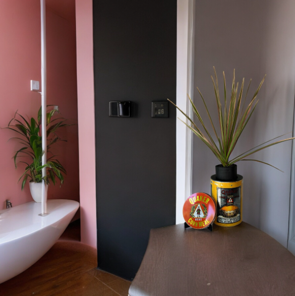 Vintage Quaker Corn Meal Collectible Tin Planter with Dracaena Marginata Plant