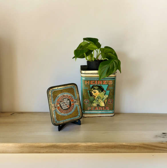 Vintage Heinz Pearls Tin Planter & Heart Leaf Philodendron Plant