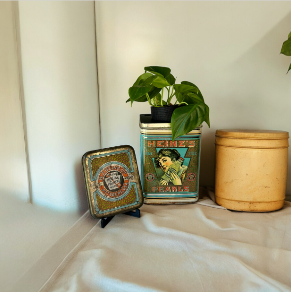 Vintage Heinz Pearls Tin Planter & Heart Leaf Philodendron Plant