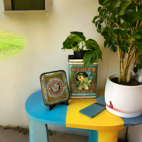 Vintage Heinz Pearls Tin Planter & Heart Leaf Philodendron Plant