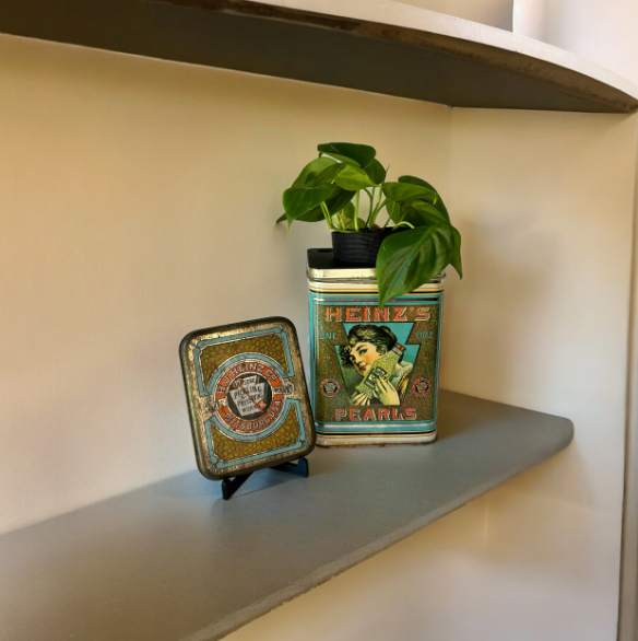 Vintage Heinz Pearls Tin Planter & Heart Leaf Philodendron Plant