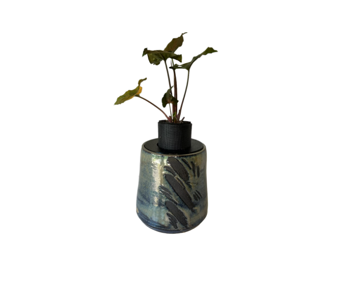 Beautiful Heavy Duty Glazed Pottery Planter with Arrowhead Plant