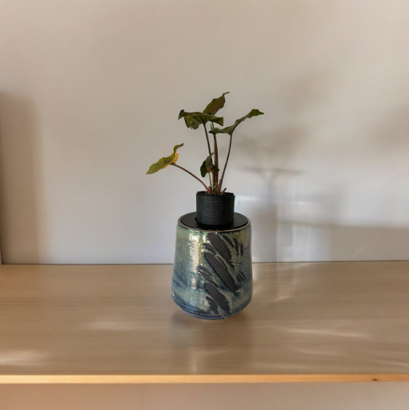 Beautiful Heavy Duty Glazed Pottery Planter with Arrowhead Plant