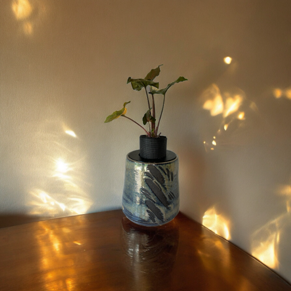 Beautiful Heavy Duty Glazed Pottery Planter with Arrowhead Plant