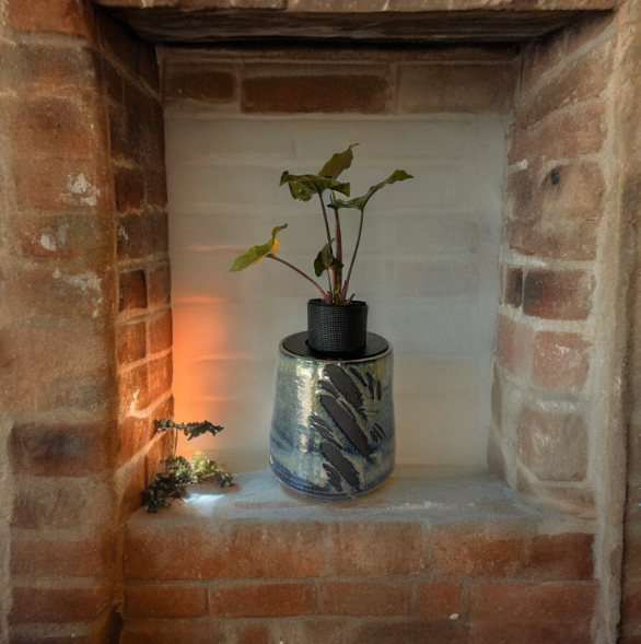 Beautiful Heavy Duty Glazed Pottery Planter with Arrowhead Plant