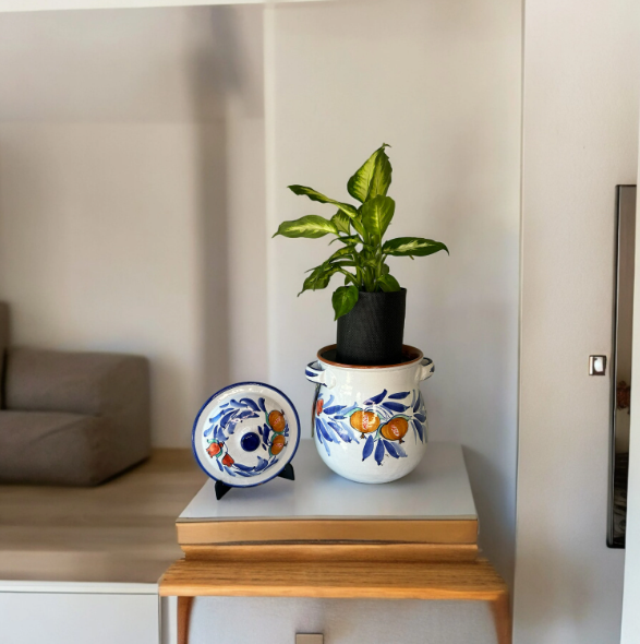 Duca Di Camastra 16 Planter with Dieffenbachia Plant