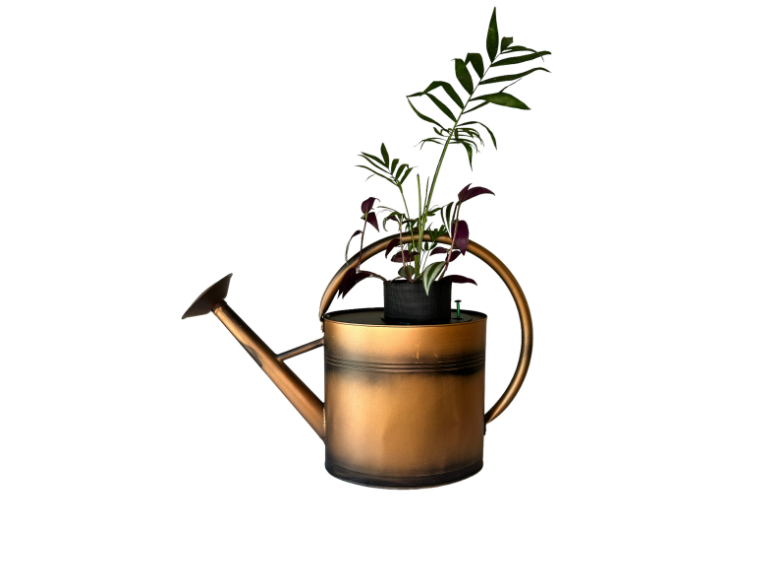 Copper Watering Can Planter with Lush Tradescantia & Parlor Palm Plants