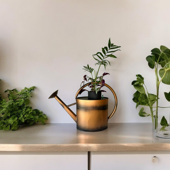 Copper Watering Can Planter with Lush Tradescantia & Parlor Palm Plants