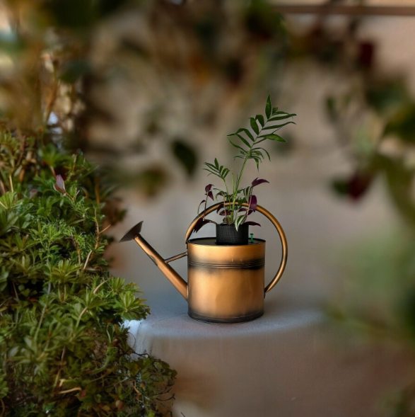 Copper Watering Can Planter with Lush Tradescantia & Parlor Palm Plants