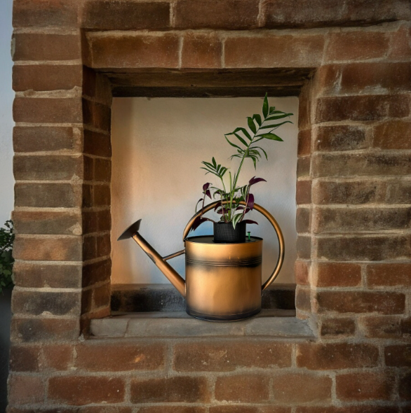 Copper Watering Can Planter with Lush Tradescantia & Parlor Palm Plants