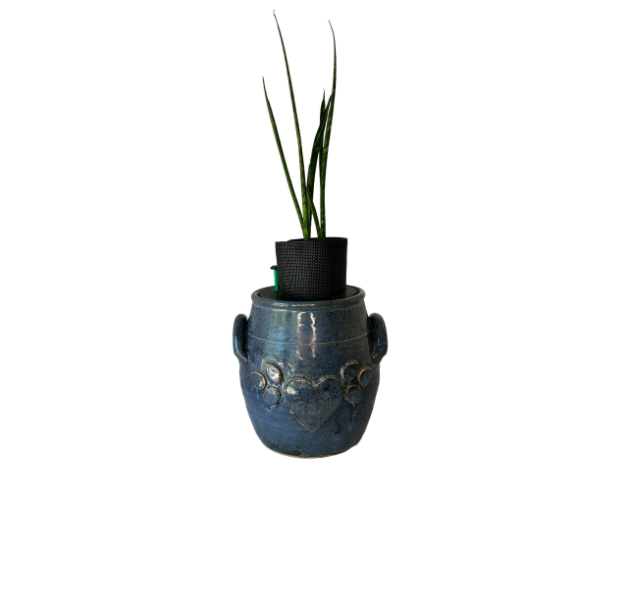 Blue Heart Canister Planter with Snake Plant