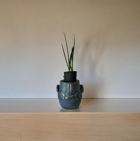 Blue Heart Canister Planter with Snake Plant