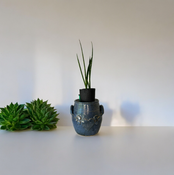 Blue Heart Canister Planter with Snake Plant