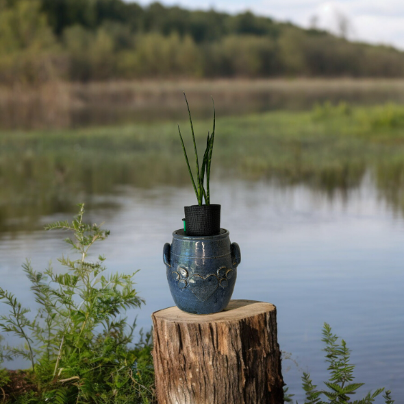 Blue Heart Canister Planter with Snake Plant