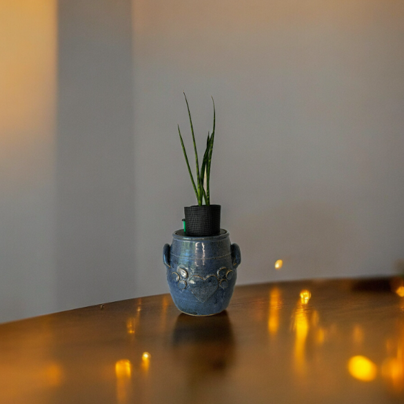 Blue Heart Canister Planter with Snake Plant