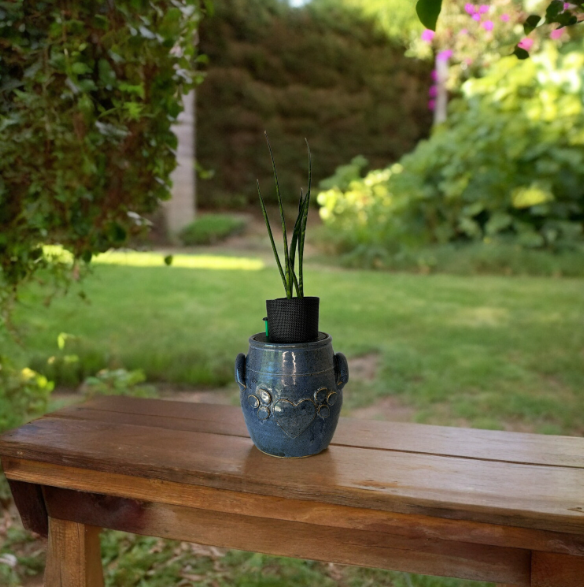 Blue Heart Canister Planter with Snake Plant