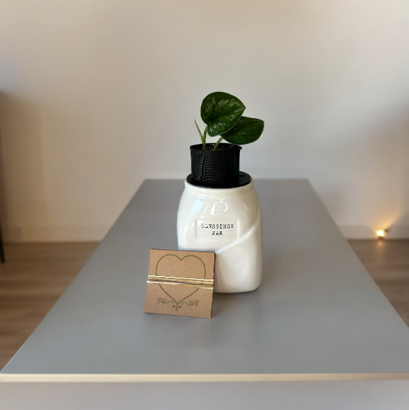 Blessings Jar Planter with Scindapsus Plant