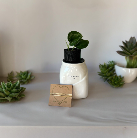 Blessings Jar Planter with Scindapsus Plant