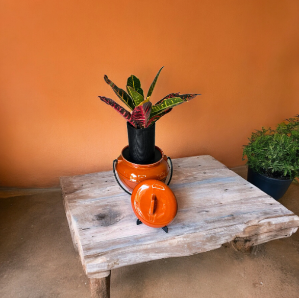 Vintage California Pottery 702 Rust Orange Bean Pot Planter with Croton Plant