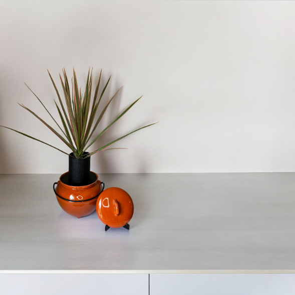Vintage California Pottery 702 Rust Orange Bean Pot Planter with Dracaena Plant