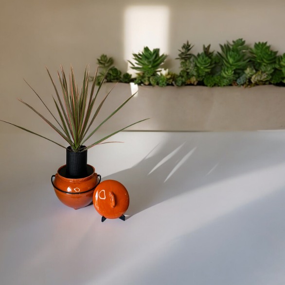 Vintage California Pottery 702 Rust Orange Bean Pot Planter with Dracaena Plant