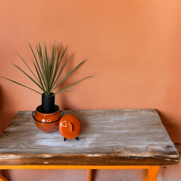 Vintage California Pottery 702 Rust Orange Bean Pot Planter with Dracaena Plant