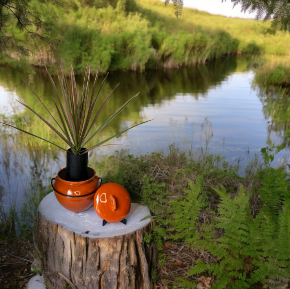 Vintage California Pottery 702 Rust Orange Bean Pot Planter with Dracaena Plant