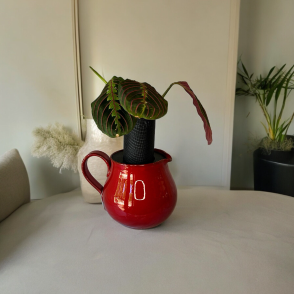 Red Ceramic Pitcher Planter with Prayer Plant