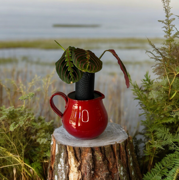 Red Ceramic Pitcher Planter with Prayer Plant