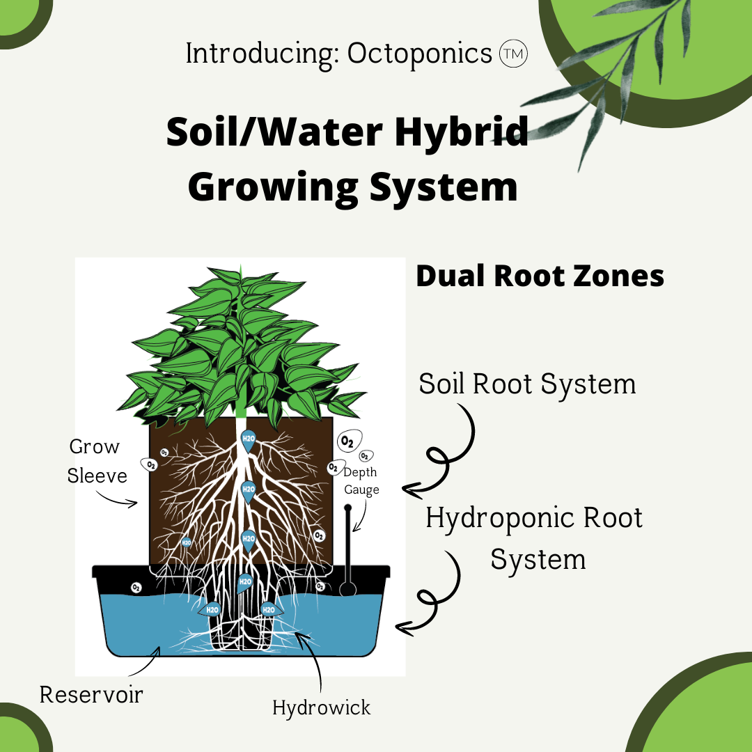 Unleashing Plant Potential with Octopot: The Hybrid Grow System Revolu