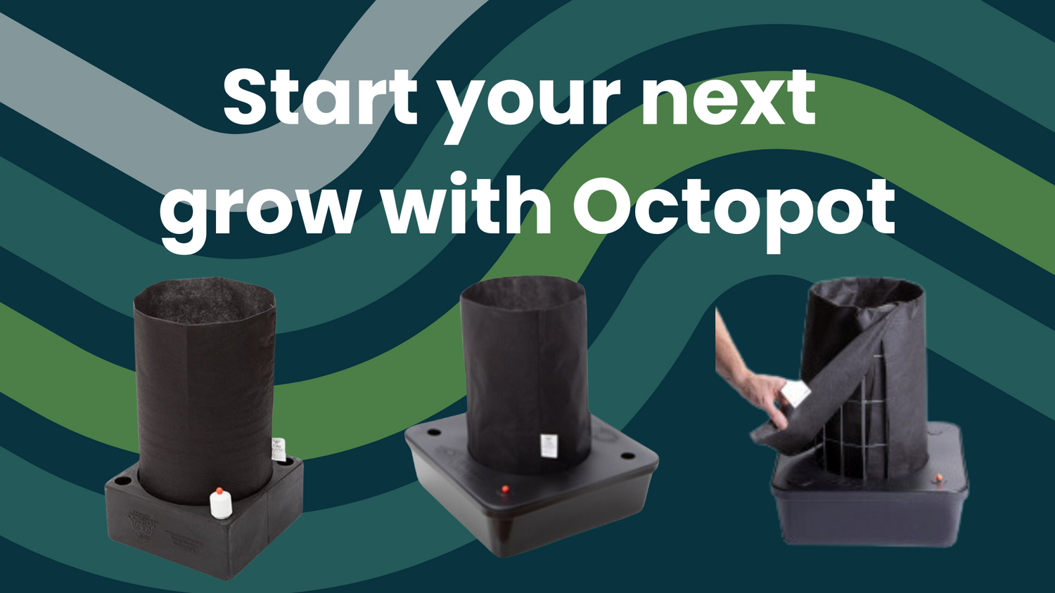 Why you should choose Octopot for your next grow