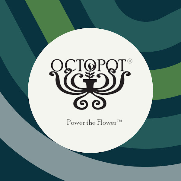 The Octopot Origin Story