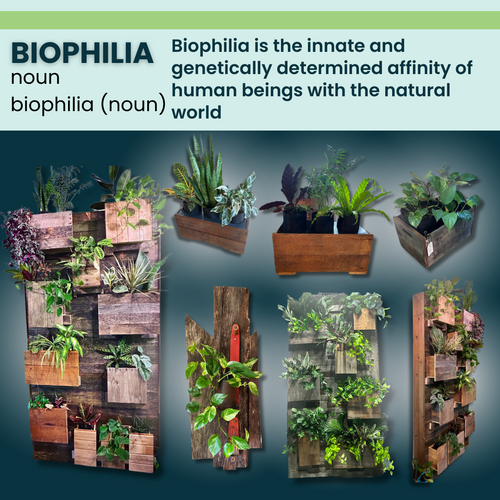 Biophilic Integrations Boost Productivity