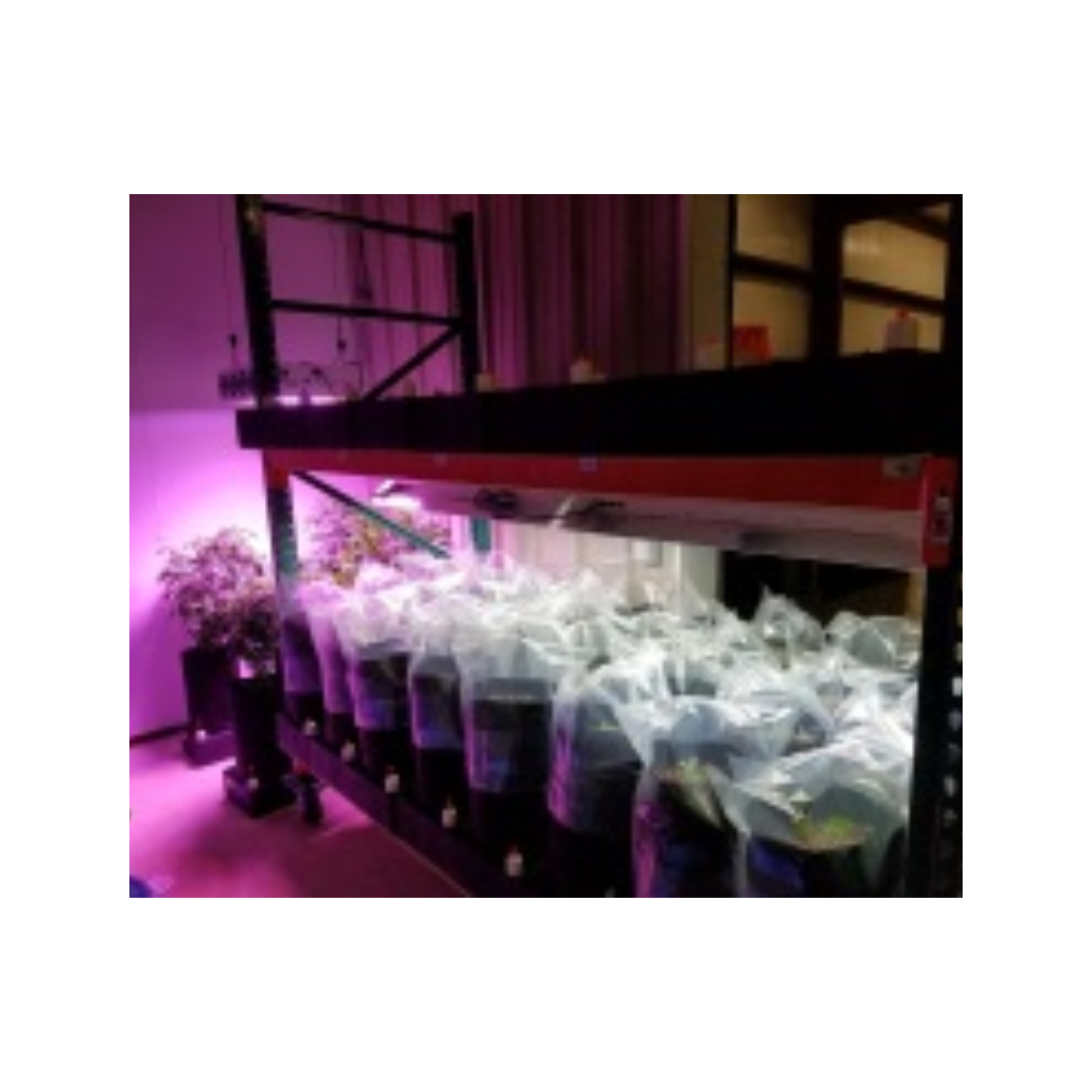 Octodome Kit Add on - 1 Pack