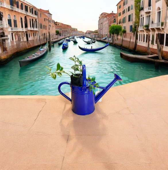 Cobalt Blue Watering Can Planter with Lipstick Plant