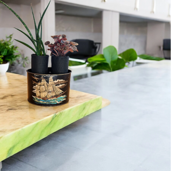 Vintage Mail Tin Planter with Snake Plant & Peperomia