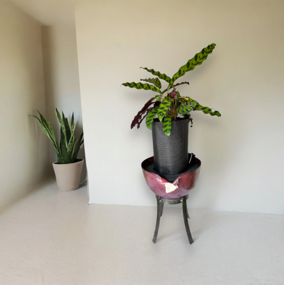 Elegant Metal Planter with Stand Adorned with Sparkling Crystal Detail and Rattlesnake Calathea