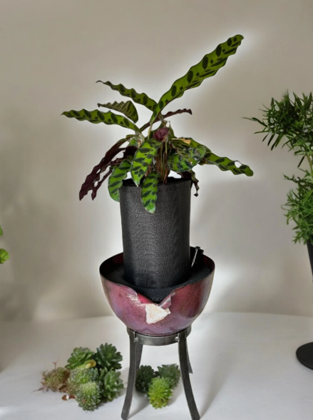 Elegant Metal Planter with Stand Adorned with Sparkling Crystal Detail and Rattlesnake Calathea