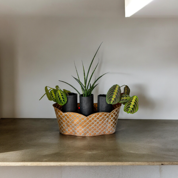 Elegant Bronze Triple Scalloped Planter with Trio of Lush Greenery