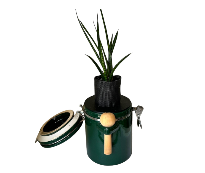 Green "The Market Place" Baking Canister Self Watering Planter with Snake Plant
