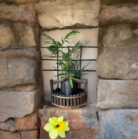 Wood Basket Trellis Planter with Trio of Lush Plants