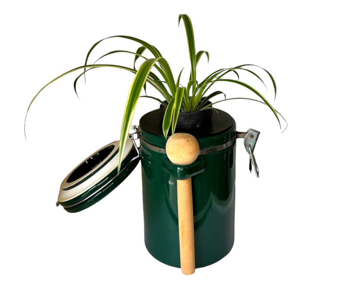 Green "The Market Place" Baking Canister Self Watering Planter with Spider Plant