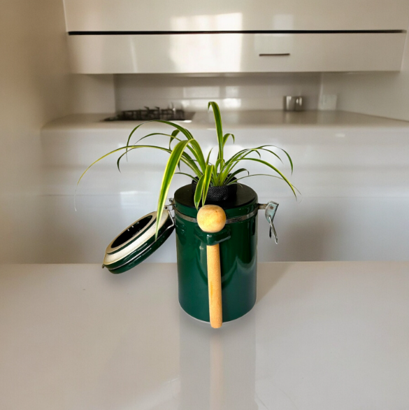 Green "The Market Place" Baking Canister Self Watering Planter with Spider Plant