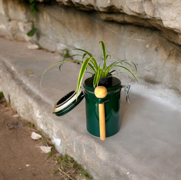 Green "The Market Place" Baking Canister Self Watering Planter with Spider Plant