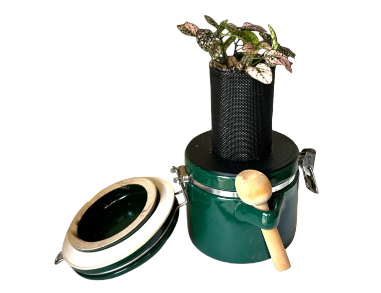 The Market Place Baking Canister Self Watering Planter with Pink Polka Dot Plant