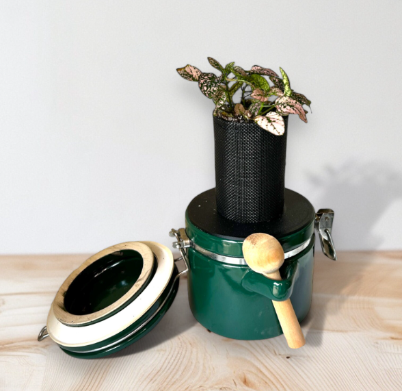 The Market Place Baking Canister Self Watering Planter with Pink Polka Dot Plant
