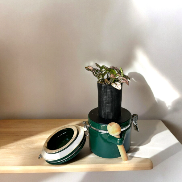 The Market Place Baking Canister Self Watering Planter with Pink Polka Dot Plant