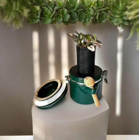 The Market Place Baking Canister Self Watering Planter with Pink Polka Dot Plant